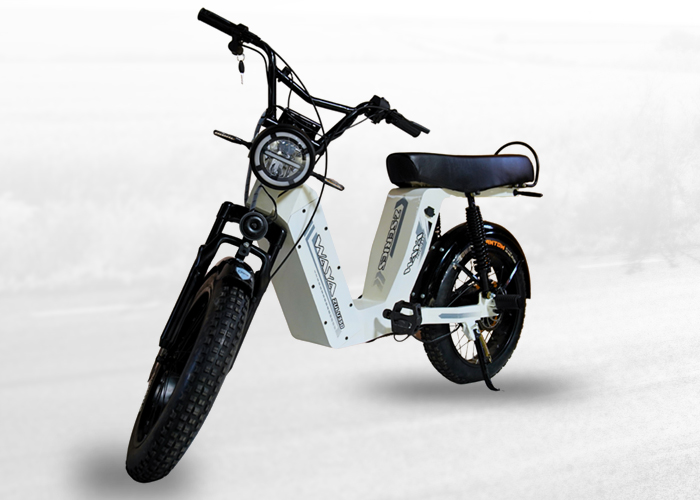 Hybrid E-Bikes
